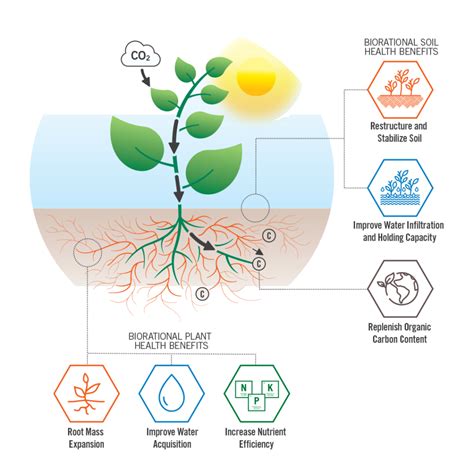 MycoApply Valent BioSciences