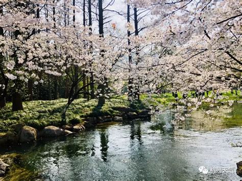 准备好短袖！本周杭州一秒入夏 直逼30℃！还有一个好消息 杭州新闻中心 杭州网