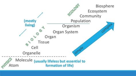 Unit 3 Lesson 3 2 Levels Of Biological Organization