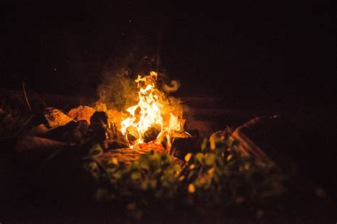 Los Primeros Humanos Ya Eran Expertos En Dominar El Fuego Dentro De Sus