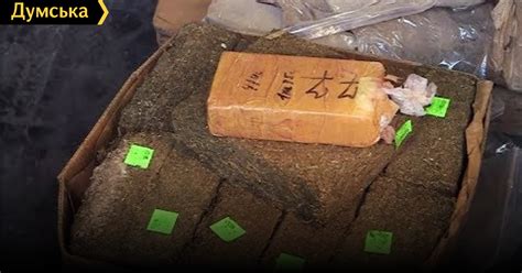 СБУ уничтожила наркотиков на 100 миллионов долларов | Новини Одеси