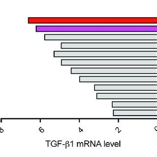 Lrrc Co Localizes With Pro Tgf In Mv And Aml Cells A