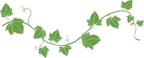 Simplicity Ivy Freehand Drawing Flat Design Png