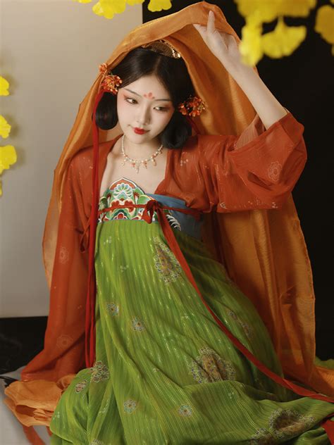 Ancient Chinese Traditional Hanfu Aoqun Dress Female Fashion Hanfu