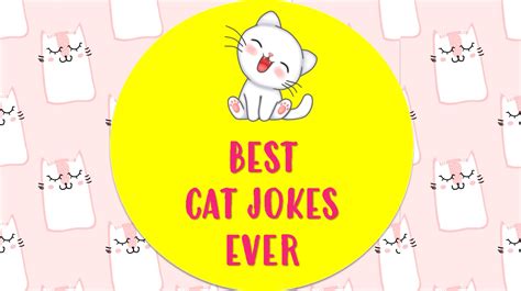 Best Cat Jokes Puns To Give You Purr Fect Laugh