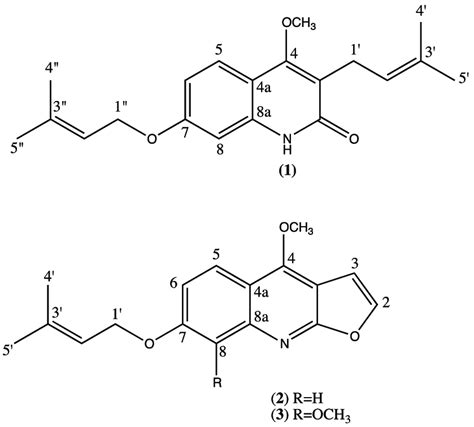 gambar struktur umum alkaloid  koleksi gambar