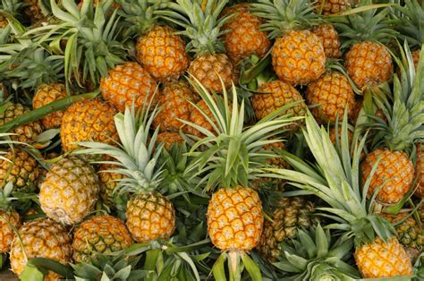 Why Pineapples are so good for you | The Lady Shake Blog