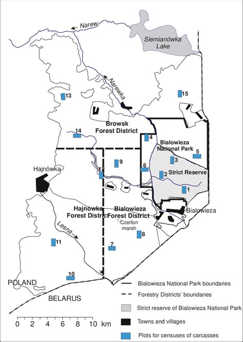 Map Of The Study Area Showing The Bialowieza National Park And The