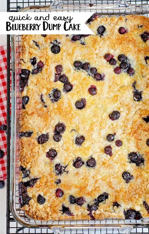 Best Blueberry Dump Cake Recipe 5 Ingredients One Pan