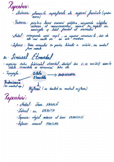 Solution Anatomie Topografica Studypool