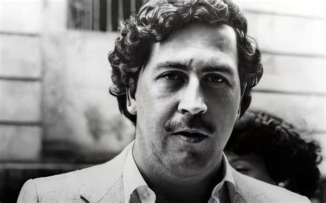 Best Pablo Escobar Movies: Watch Online | FUZZ MUSIC