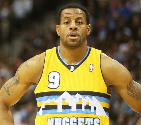 andre iguodala injury updates  nuggets guards neck bleacher report
