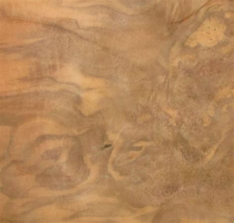 Metz Furniere Walnut Burl Veneer Shop Detailed View