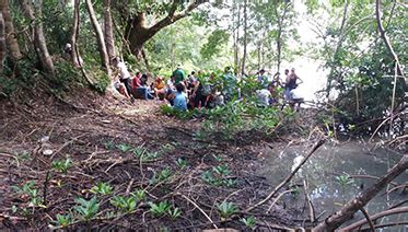 Grupo De Estudo Paisagem E Planejamento Ambiental