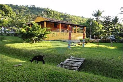 Fazenda S Tio Na Rodovia Pe S N Matriz Em Vit Ria De Santo Ant O