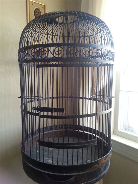 11 best Bird cages for sale. images on Pinterest | Bird cages for sale ...