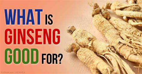 The Many Health Benefits Of Ginseng