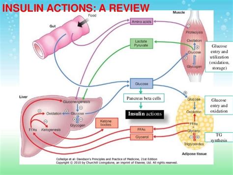 Non Enzymatic Glycation In Diabetes