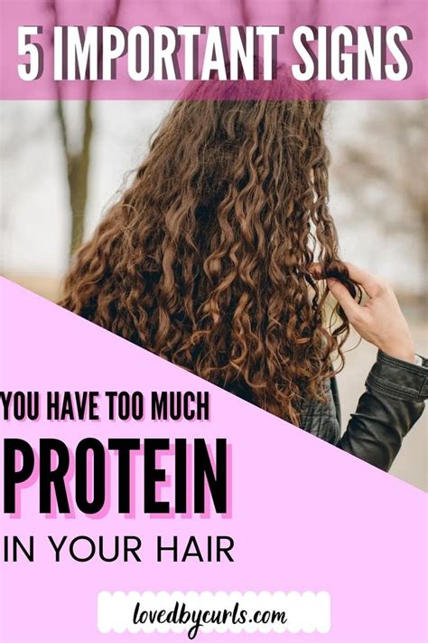 5 Important Signs There S Too Much Protein In Your Hair Loved By Curls Hair Protein