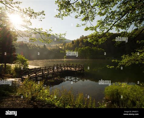 Beautiful Lake Morning In Borcka Karagol Nature Park Summer Season