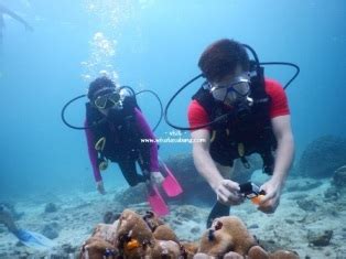 Paket Diving Pulau Weh Sabang Hari Malam D N Paket Tour