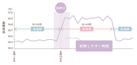 治療方法 │ 加藤レディスクリニック：不妊治療 体外受精