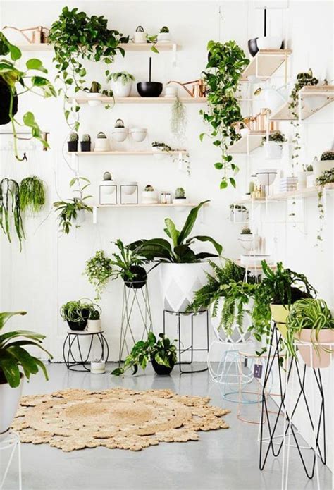 Fabulous Indoor Plant Ornament Concepts To Stunning Your House Room With Plants Plant Decor