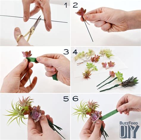 How To Make Your Own Succulent Corsage In Succulent Corsage