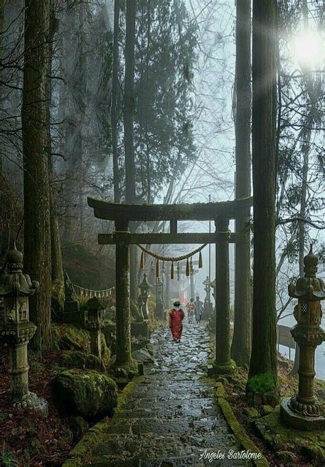 Shinto Shrine ⛩ | Japan landscape, Japanese garden, Japanese art