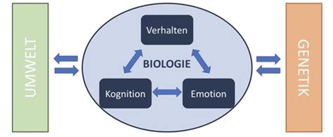 Biologische Psychologie VL 1 Karteikarten Quizlet