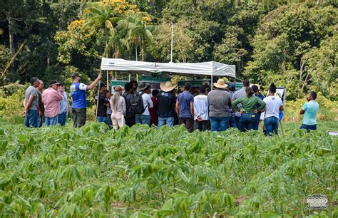 Dia de campo mostra vantagens e benefícios da agricultura