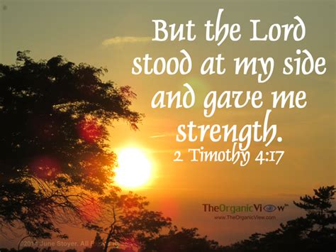 But The Lord Stood At My Side And Gave Me Strength 2 Timothy 417 2