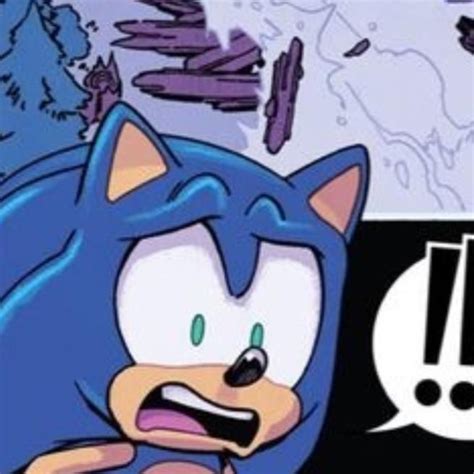 All Their Efforts For Nothing Smh My Head Sonic And Shadow Sonic The