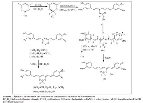 Revisiting Curcumin Chemistry Part I A New Strategy For The Synthesis