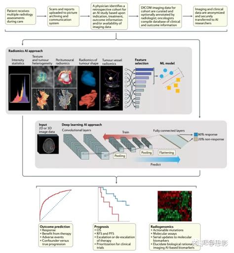 放射学中基于影像组学和人工智能预测癌症预后影像组学和人工智能的区别 Csdn博客