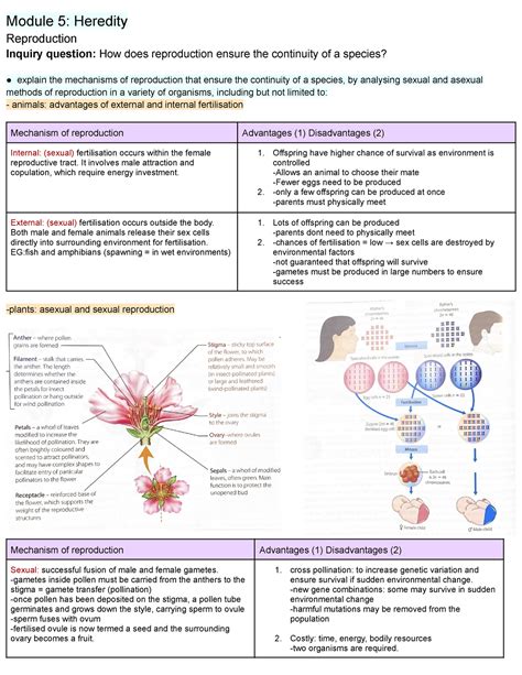 Biology Module 5 Module 5 Heredity Reproduction Inquiry Question