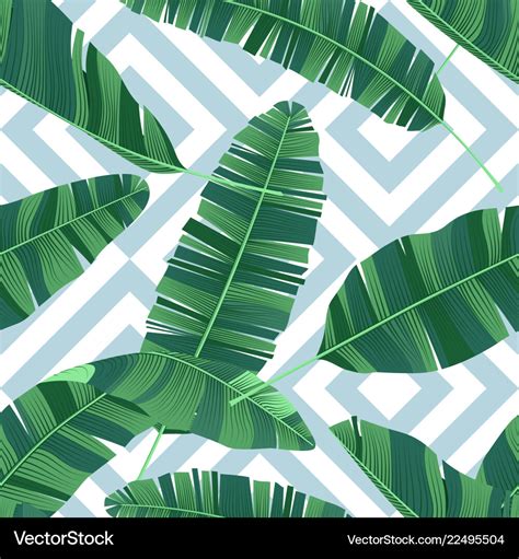 Seamless Pattern Tropical Banana Leaves On Vector Image