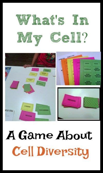 What's In My Cell? A game about cell diversity. | Biology classroom ...