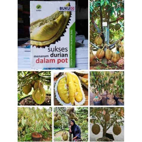 Jual Buku Panduan Tutorial Belajar Cara Menanam Durian Dalam Pot