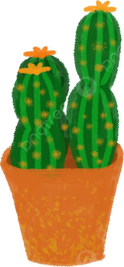 Maceta De Cactus Png Planta Cactus Plantas En Macetas Png Y Psd Para Descargar Gratis Pngtree