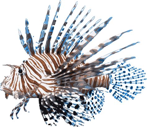 Lionfish Wallpapers - Wallpaper Cave