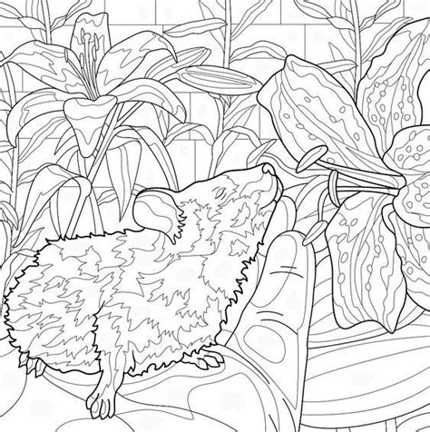 Pin By Kay Smith On Coloring Pages Adult Coloring Designs Cute