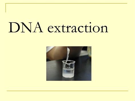 Dna Extraction Using Phenol Chloroform