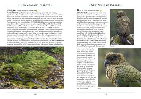 A Naturalists Guide To The Birds Of New Zealand 10000 Birds