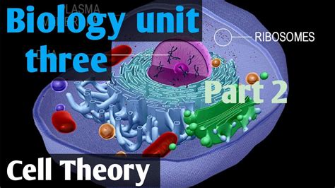 Biology Unit Three Part Two Cell Theory Remedial Biology YouTube