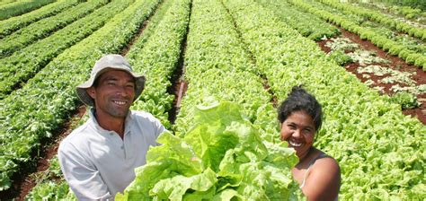 Produtores Rurais Podem Renegociar Opera Es No Bnb Prazo At