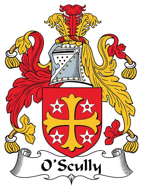 Oscully Coat Of Arms Irish Digital Art By Heraldry Pixels