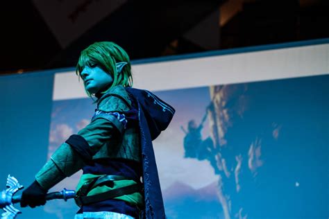 My cosplay of Link from BOTW. : r/zelda