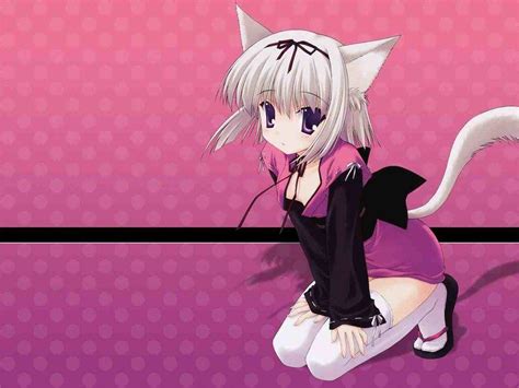 Anime Neko Girl Wallpapers Top Free Anime Neko Girl Backgrounds Wallpaperaccess