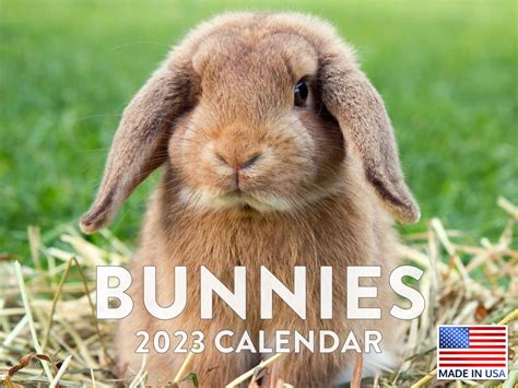 Bunny Calendar 2024 Printable 2024 CALENDAR PRINTABLE